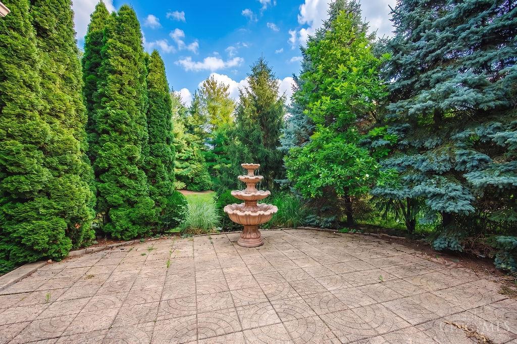 8163 Alpine Aster Court Property Photo 60