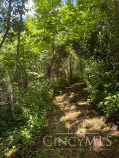285 Powers Lane Property Photo 19