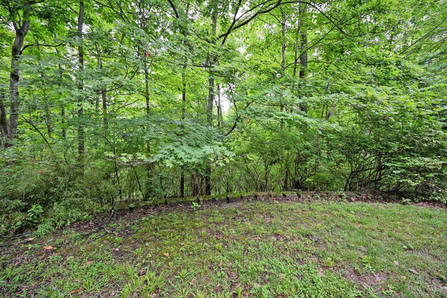 8650 Green Road Property Photo 58