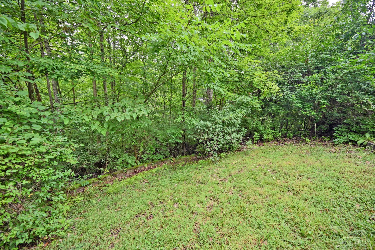 8650 Green Road Property Photo 59