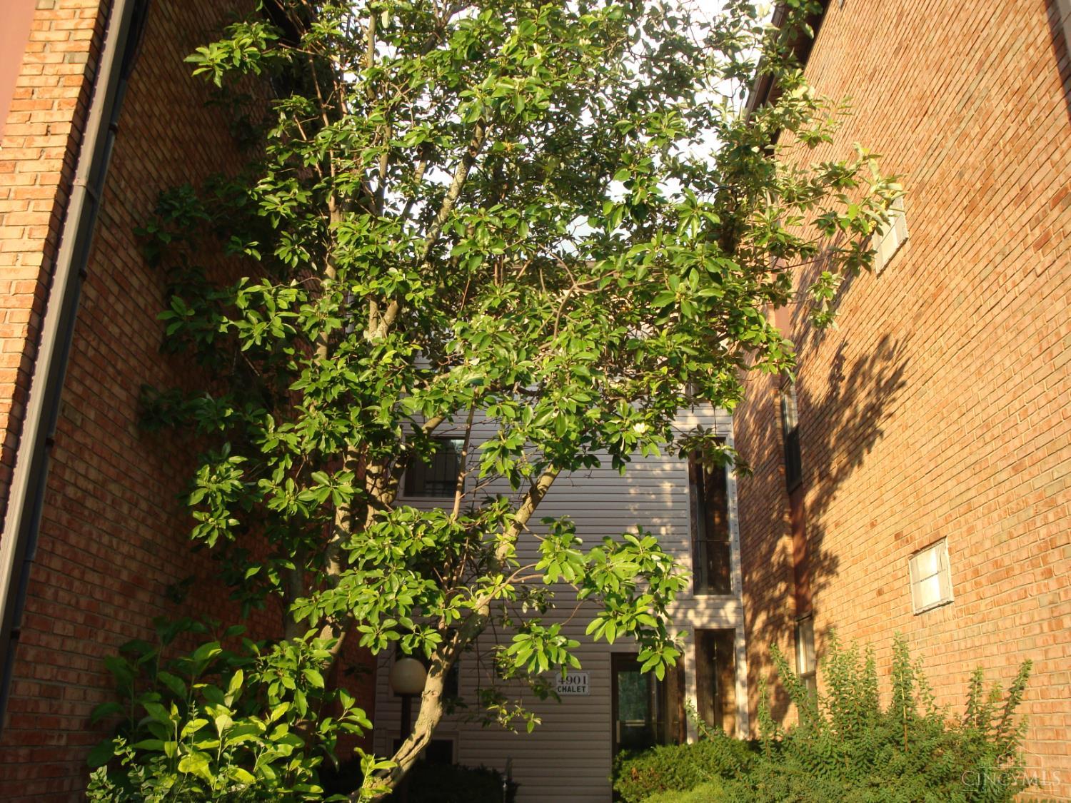 4901 Chalet Drive Property Photo 1