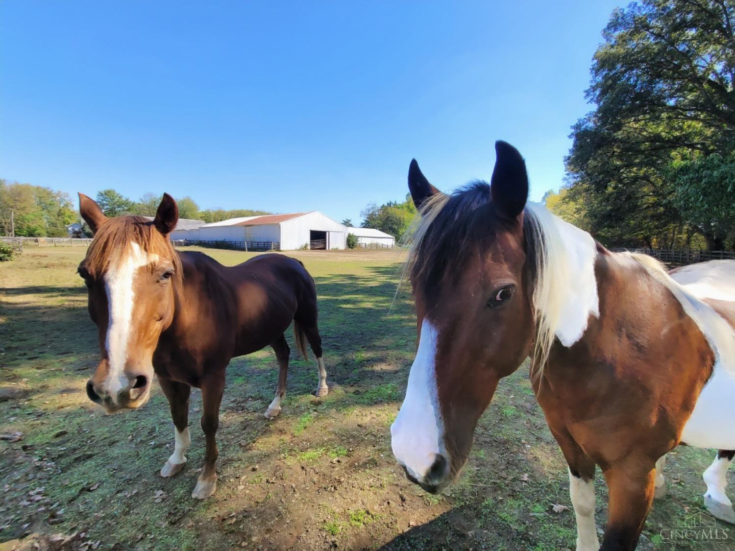 2055 St Rt 28 Property Photo 22