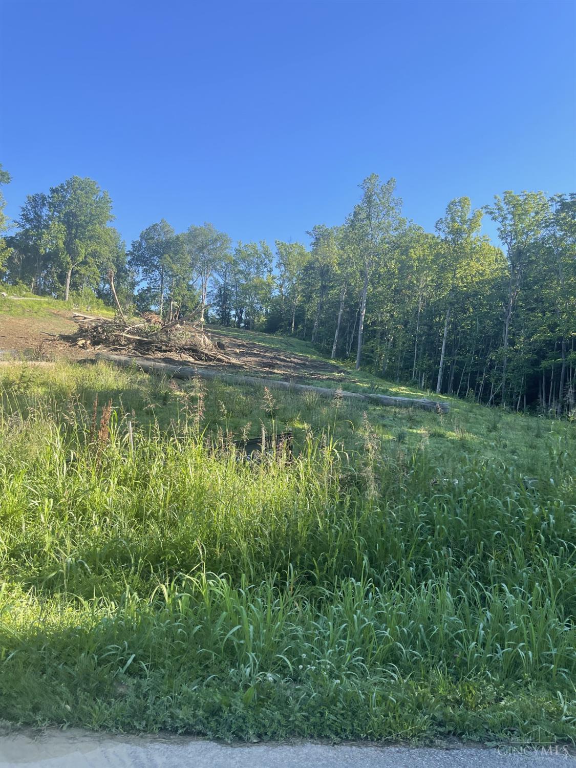 Pond Run Road Property Photo 3