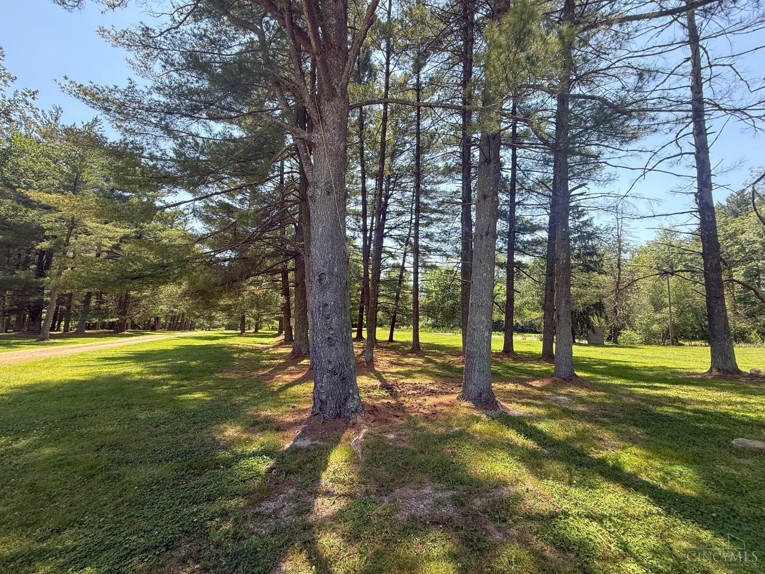 3911 Campbell Road Property Photo 77