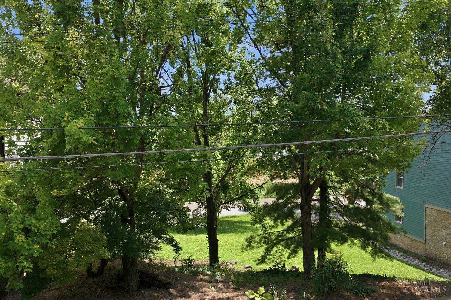 3035 Riverside Drive Property Photo 8