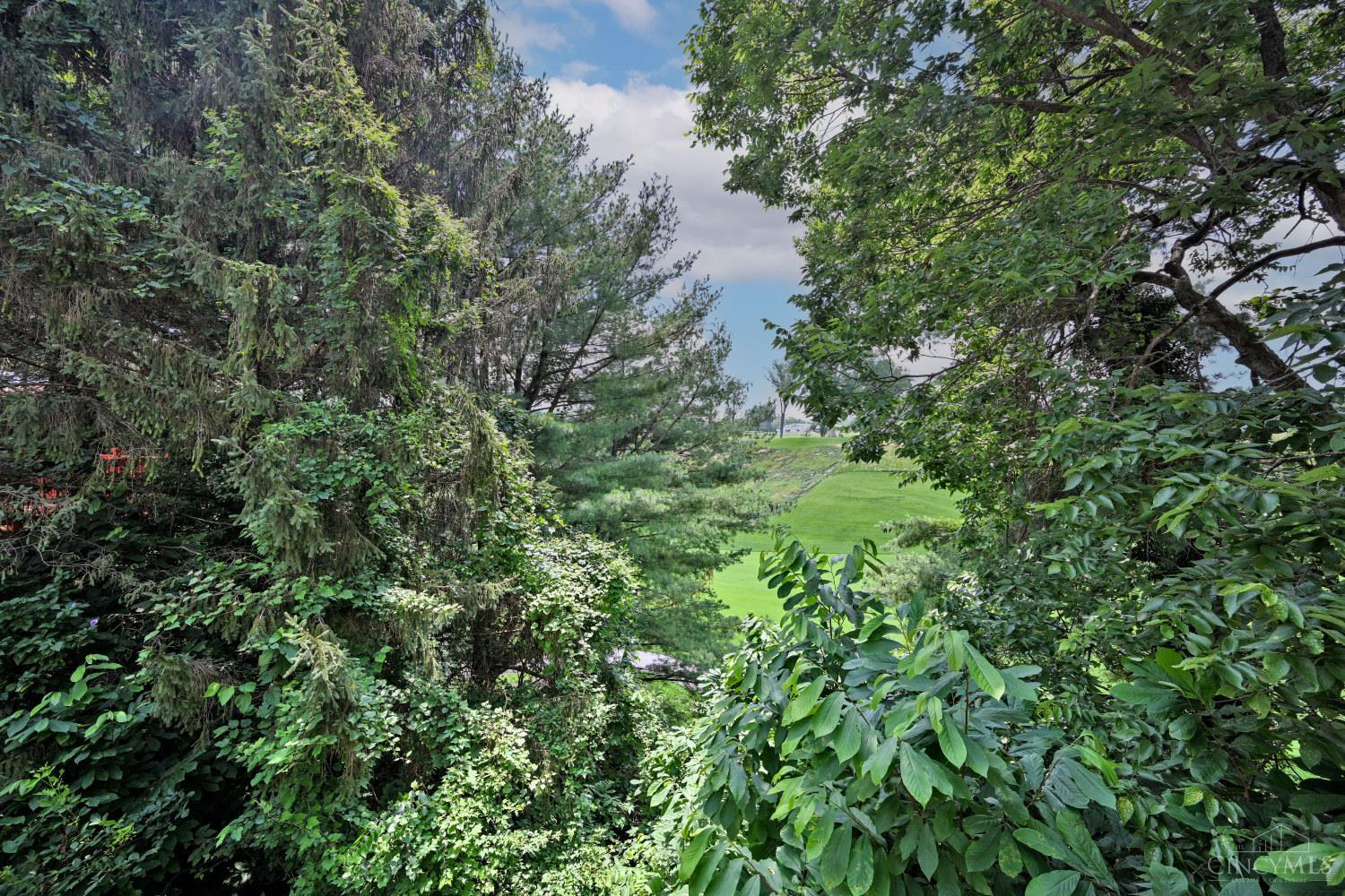 3551 Rawson Place Property Photo 36