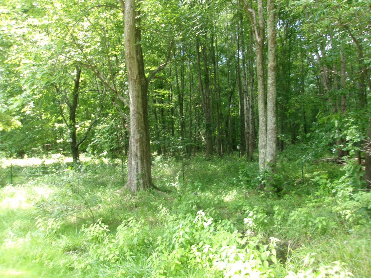 3477 Starling Road Property Photo 29