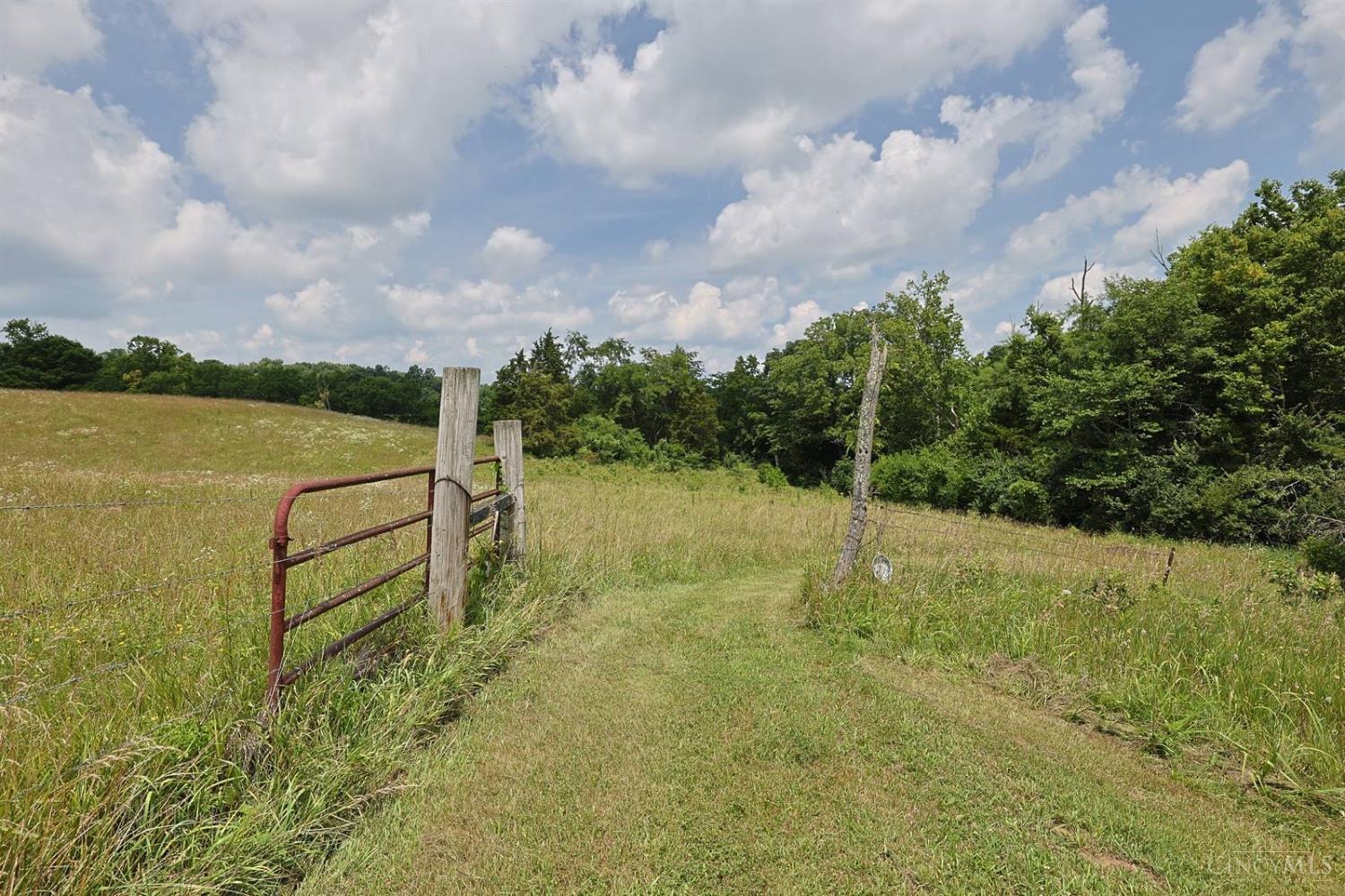 20401 Platt Road Property Photo 39