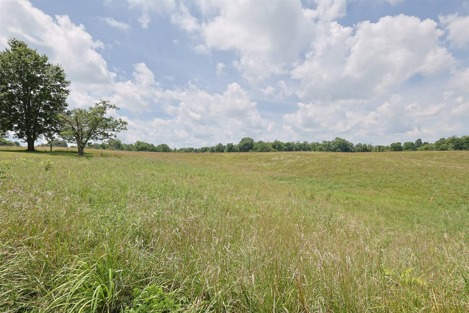 20401 Platt Road Property Photo 45