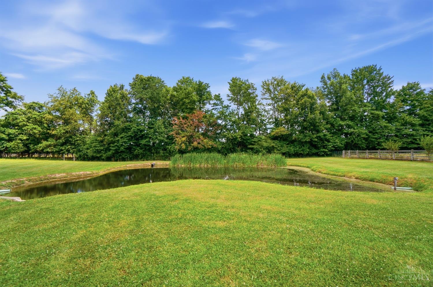 7353 Ross Road Property Photo 58