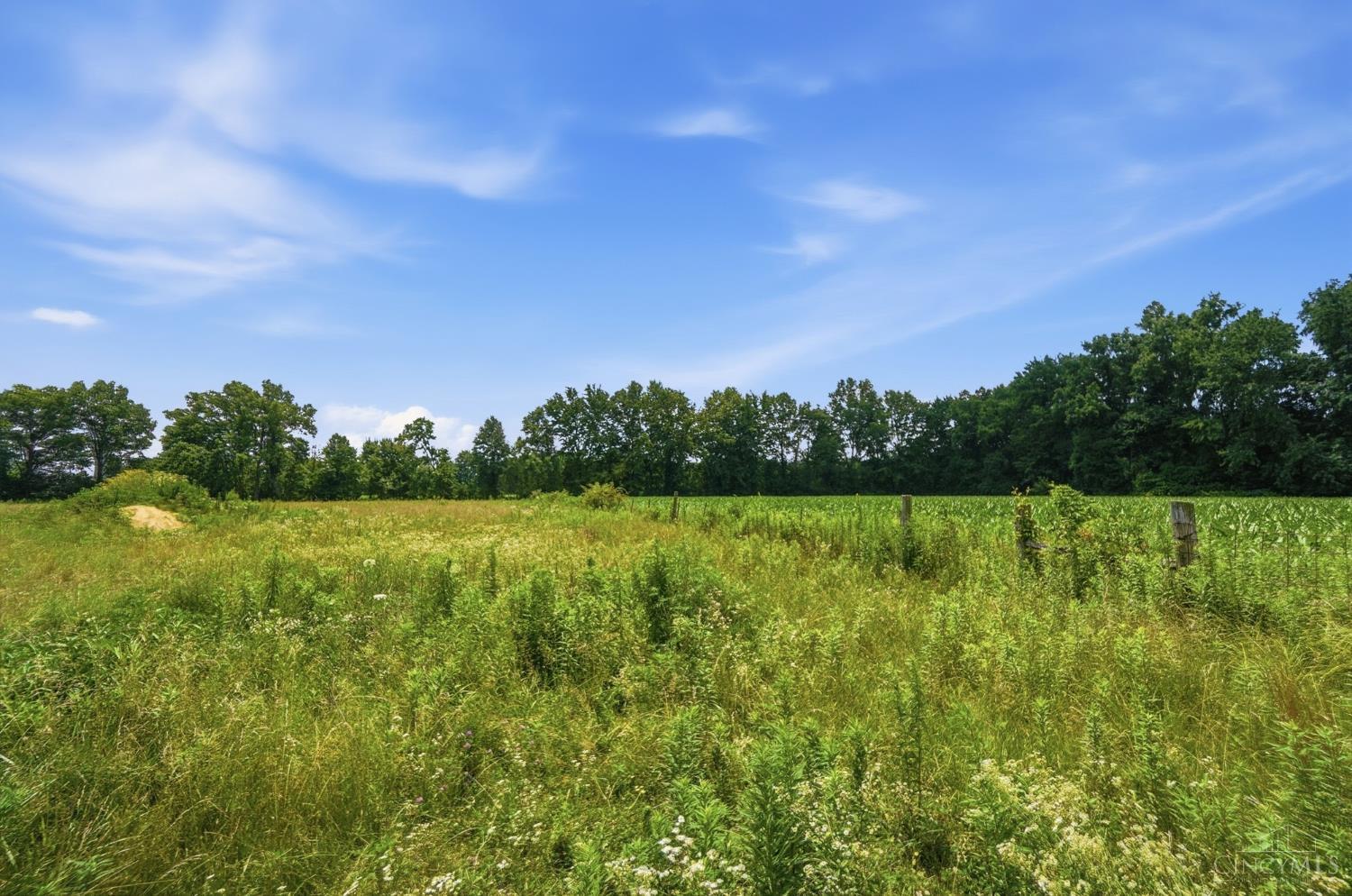 7353 Ross Road Property Photo 61