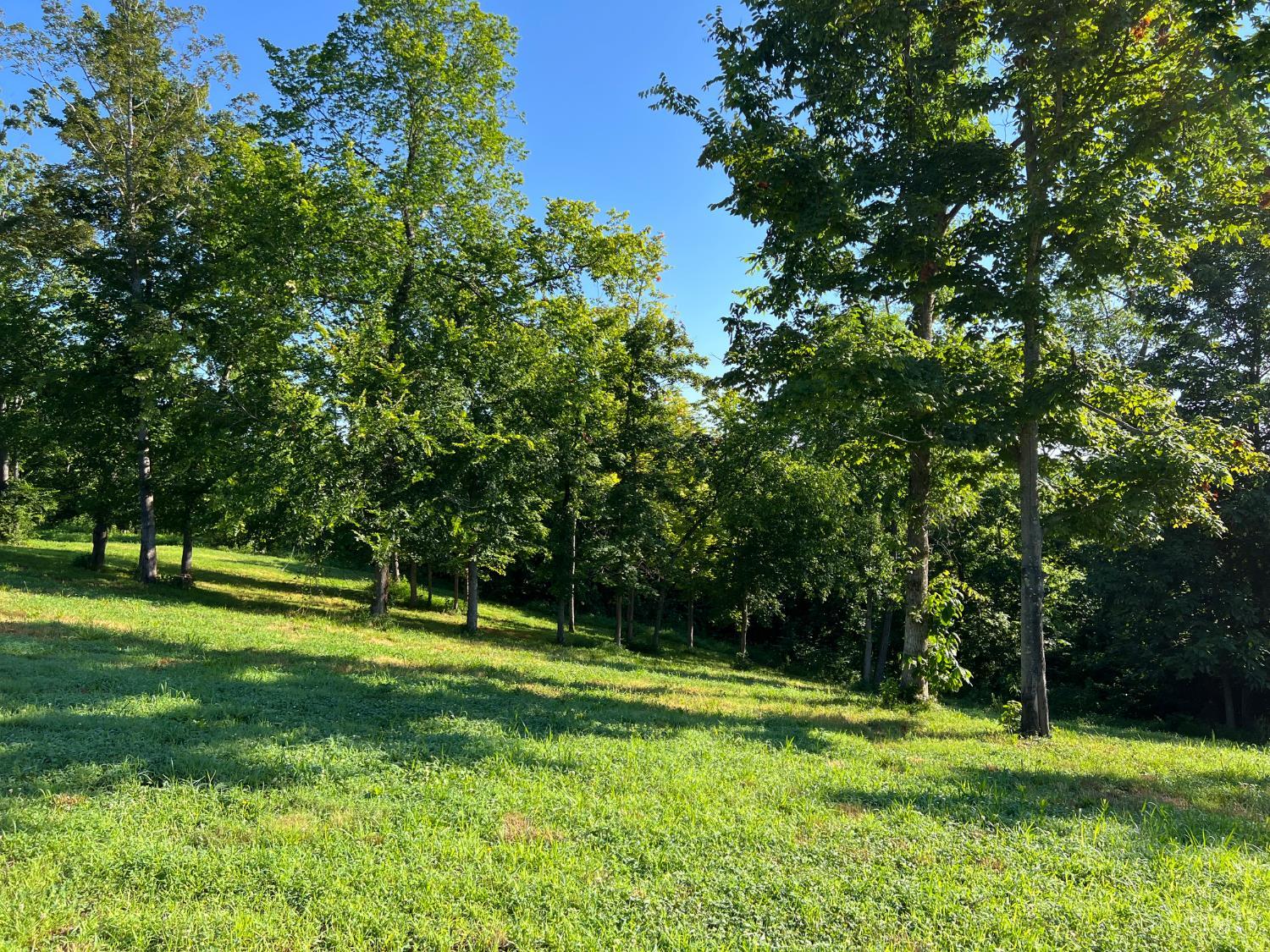 Us Rt 52 Property Photo 31