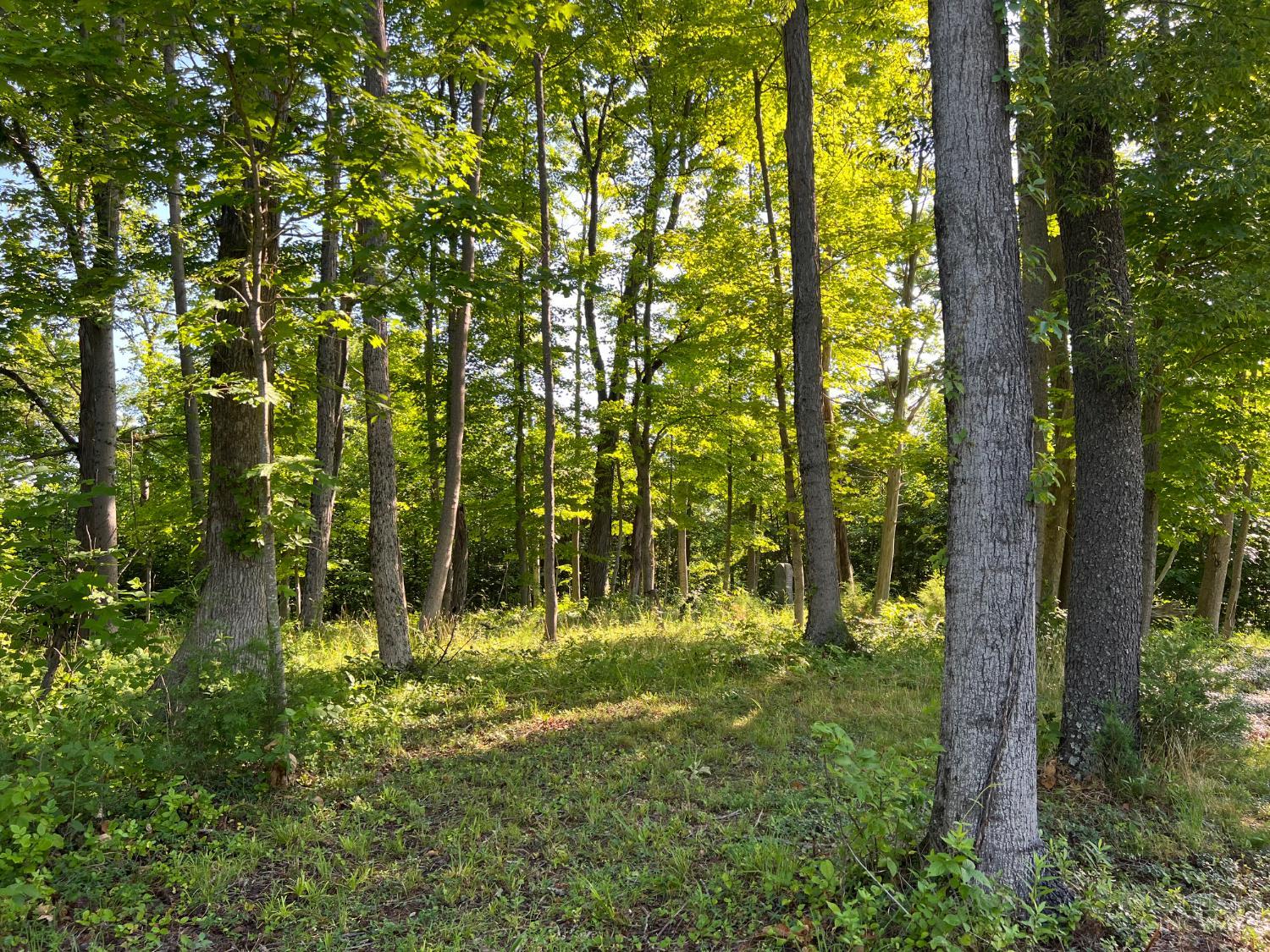 Us Rt 52 Property Photo 33
