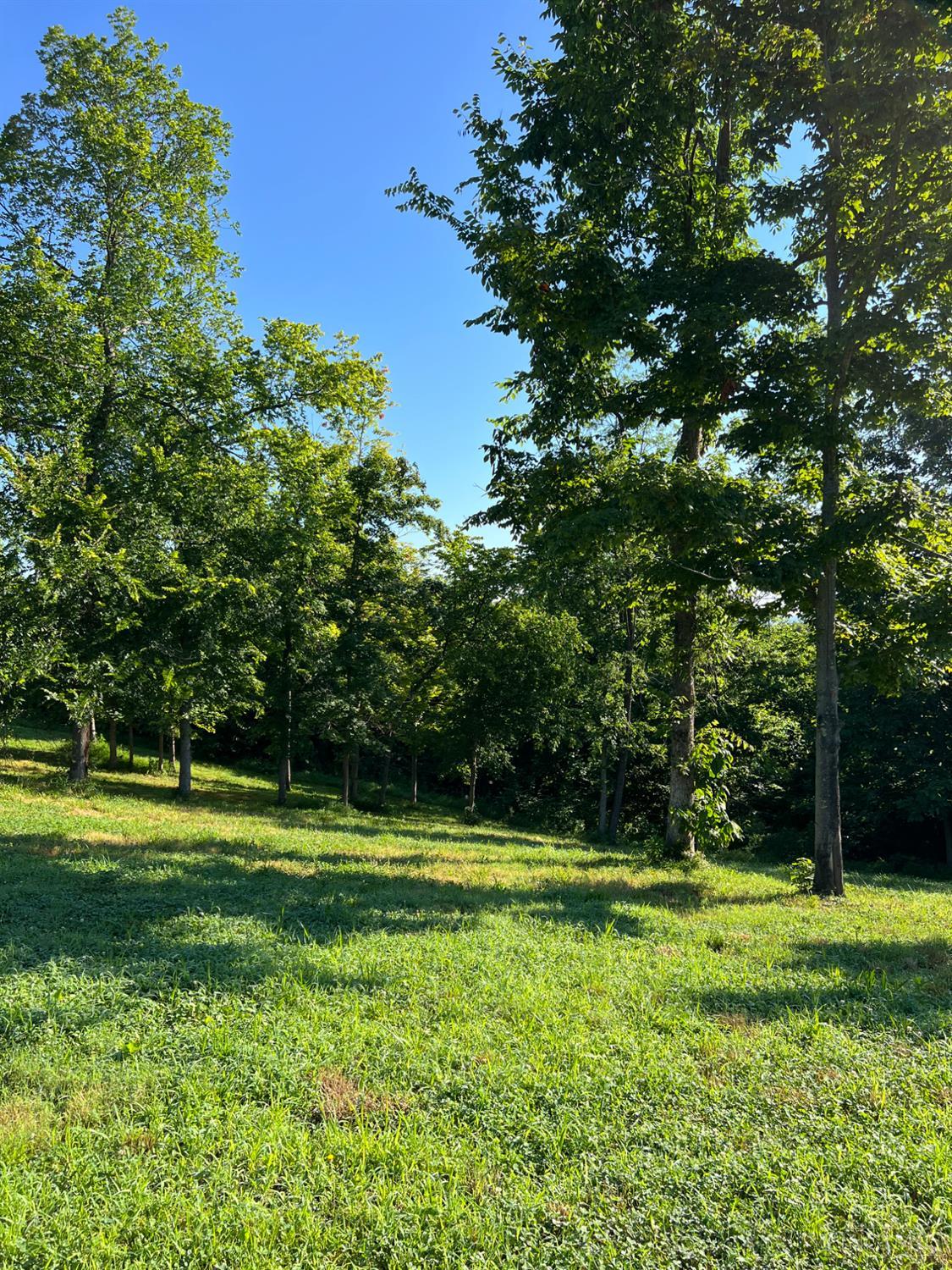 Us Rt 52 Property Photo 51