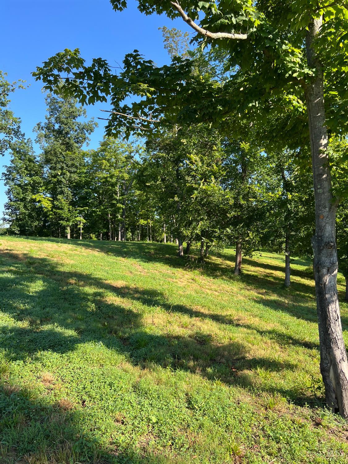 Us Rt 52 Property Photo 53