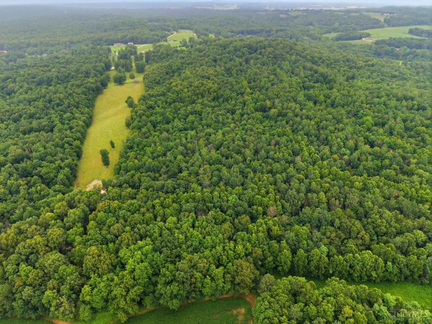 1768 Big Woods Road Property Photo 25