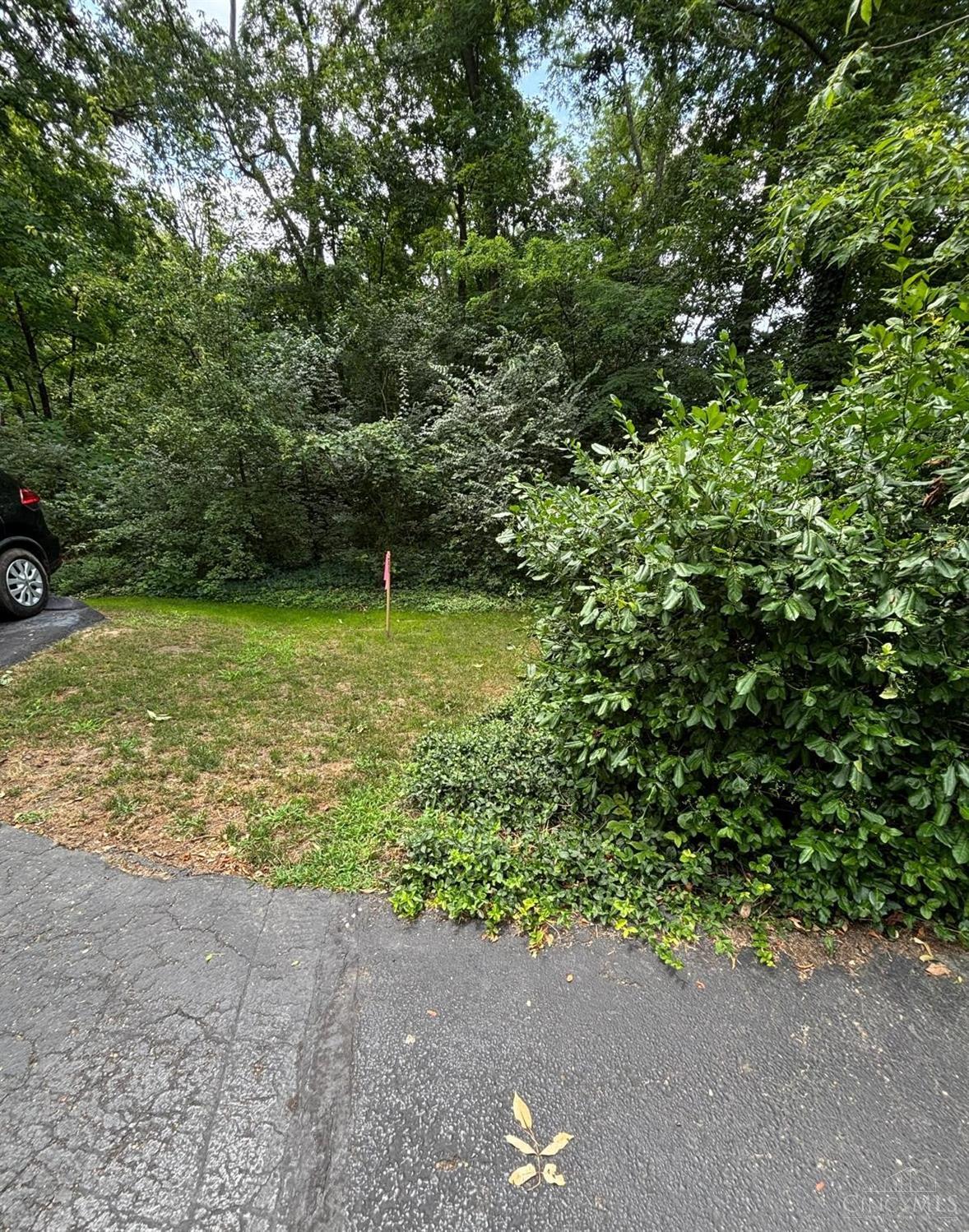 12102 Paulmeadows Drive Property Photo 1
