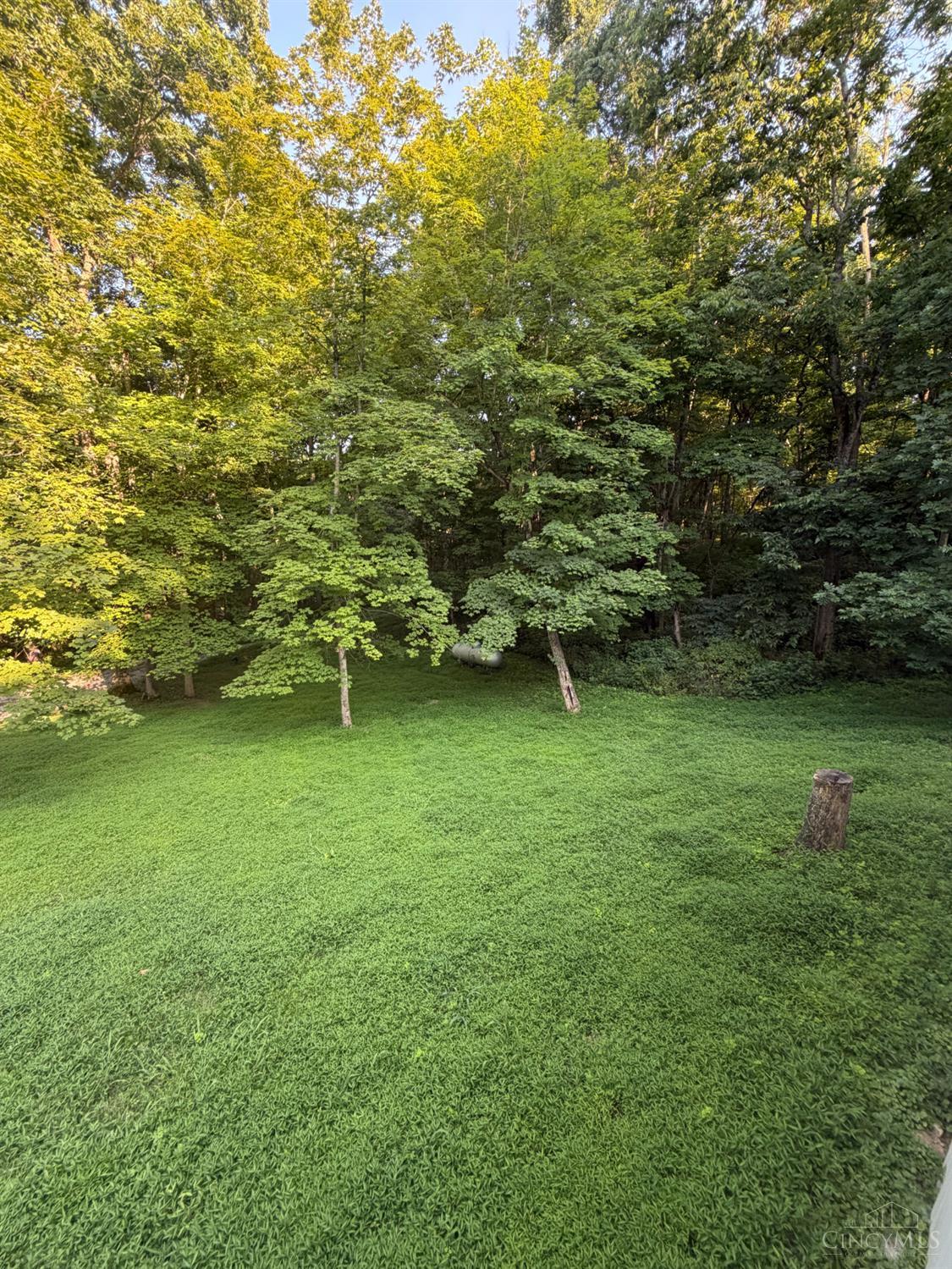 1702 Robinson Hollow Road Property Photo 6