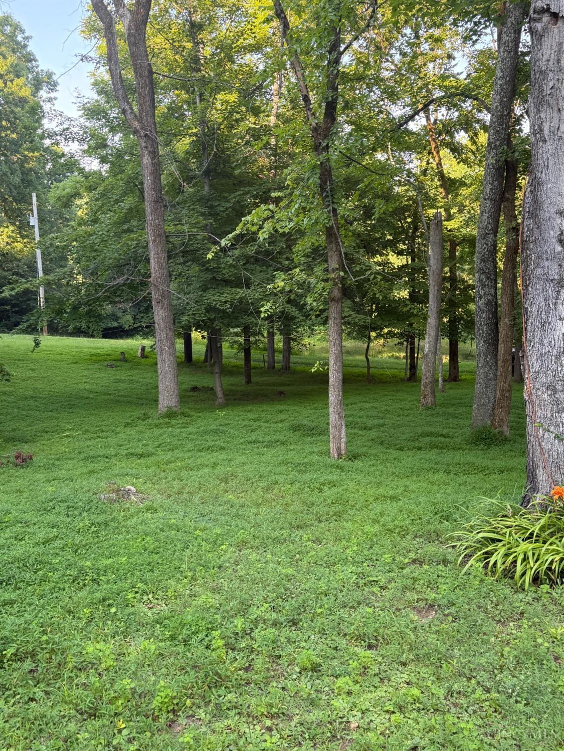 1702 Robinson Hollow Road Property Photo 7