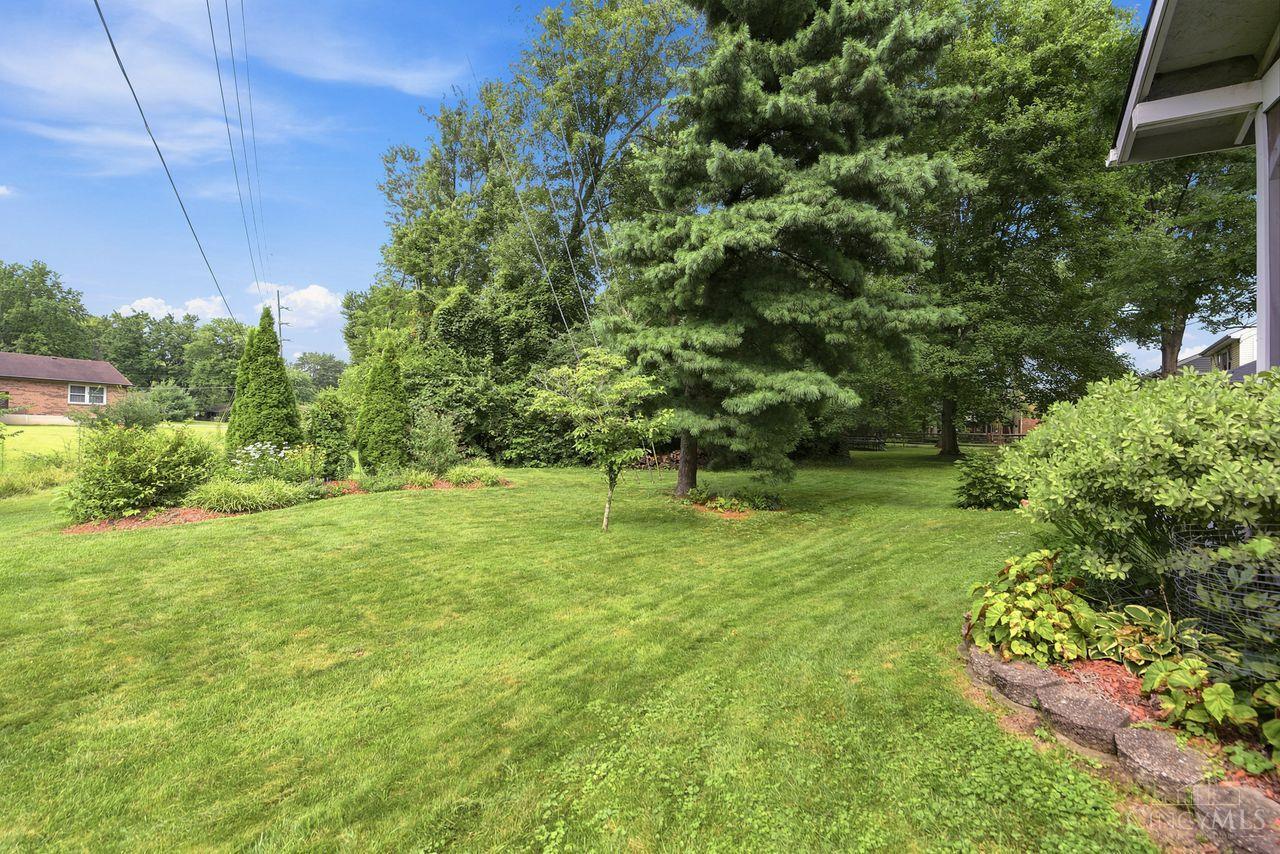 9233 Meadow Drive Property Photo 47