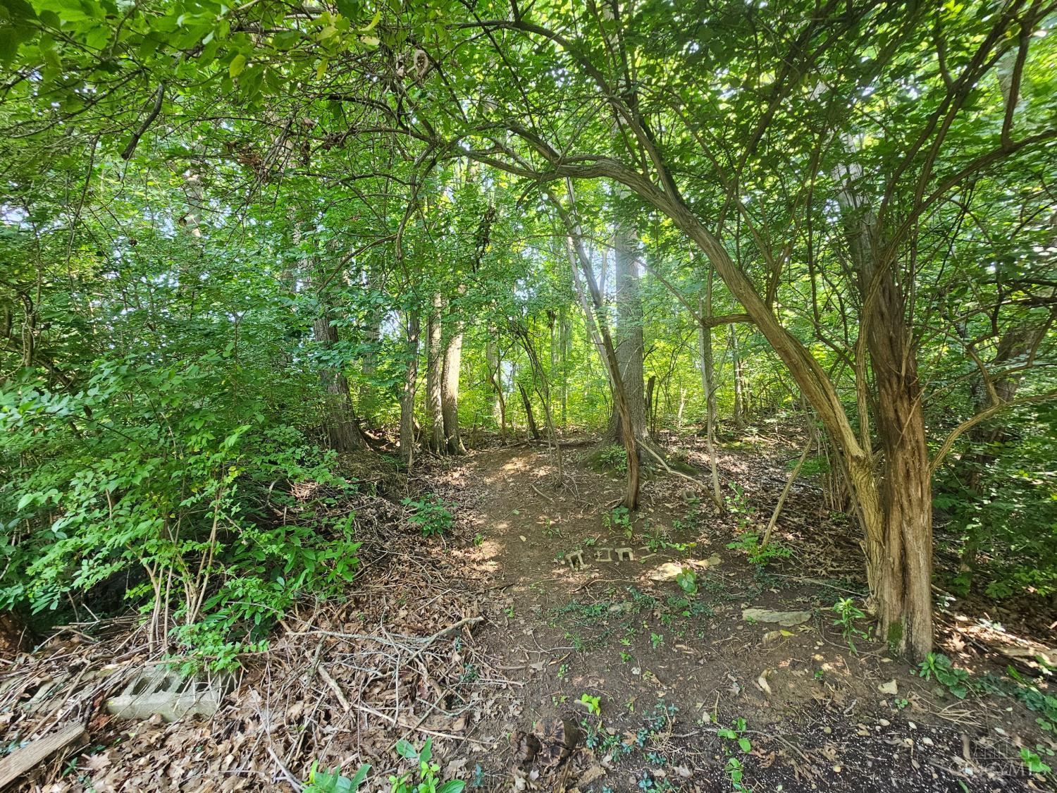 4728 Kirby Avenue Property Photo 16