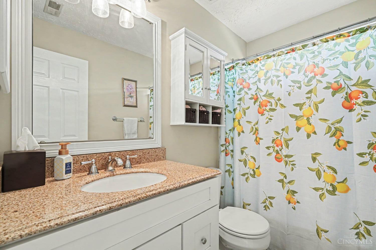8221 Springleaf Lake Drive Property Photo 10