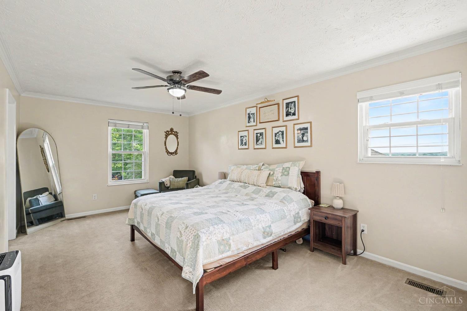 8221 Springleaf Lake Drive Property Photo 11