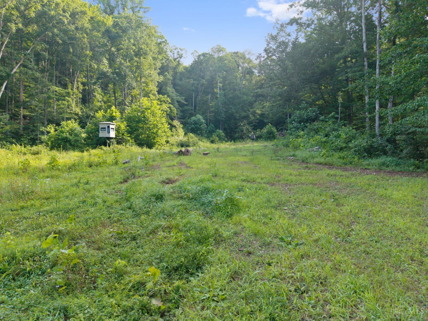 13568 St Rt 73 Property Photo 27