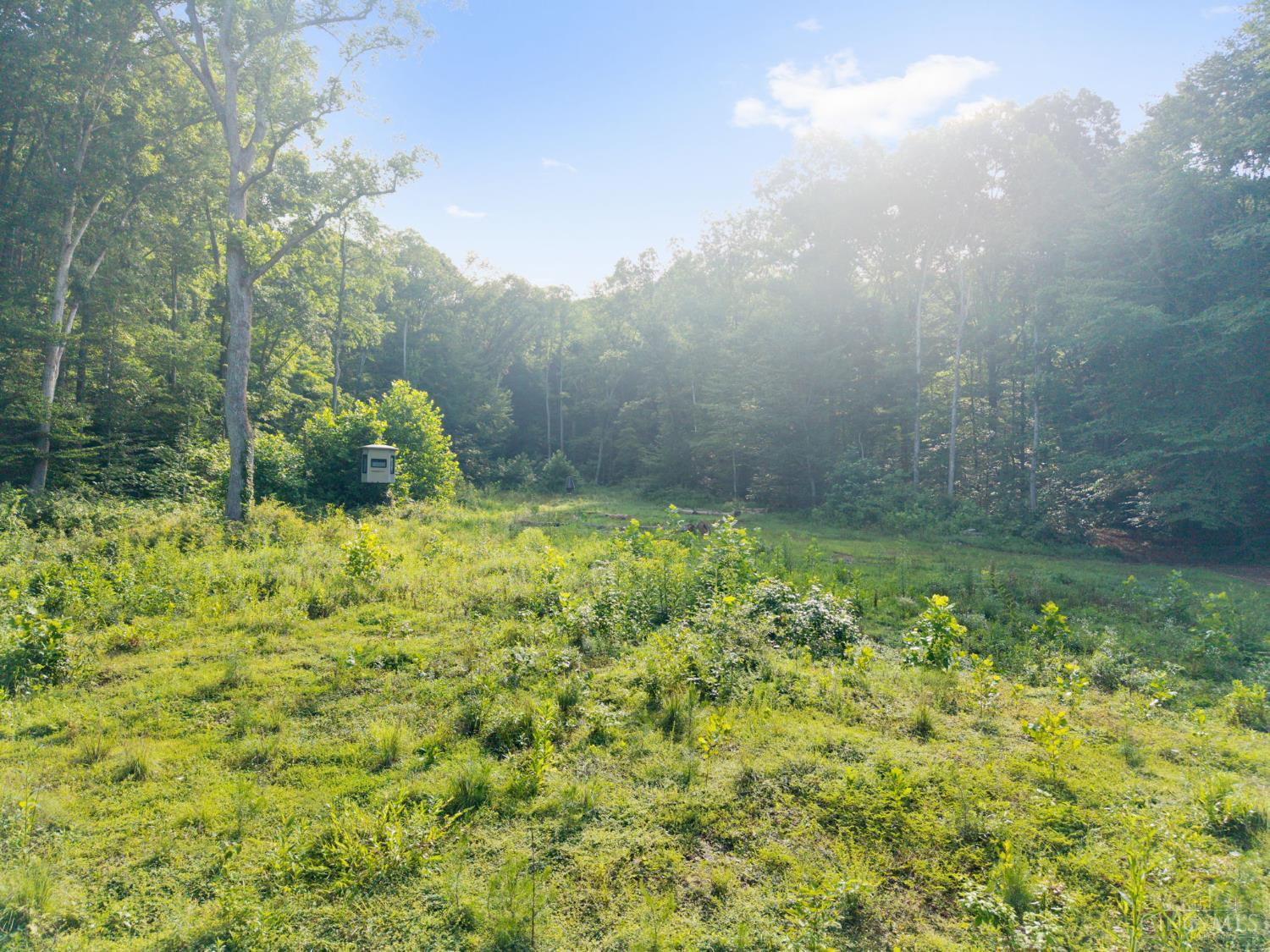 13568 St Rt 73 Property Photo 29