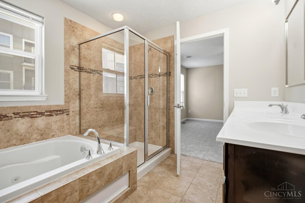9550 Cobblestone Walk Property Photo 26