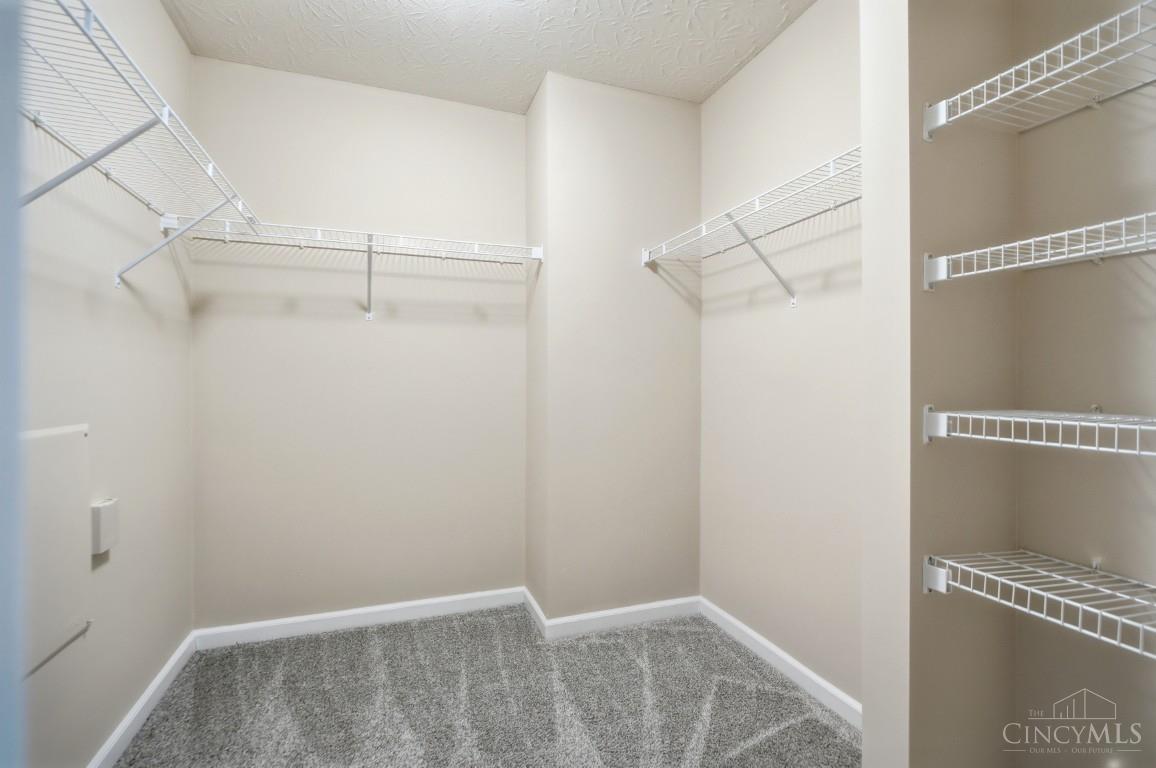 9550 Cobblestone Walk Property Photo 28