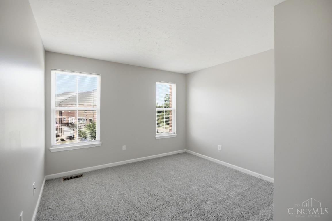 9550 Cobblestone Walk Property Photo 29