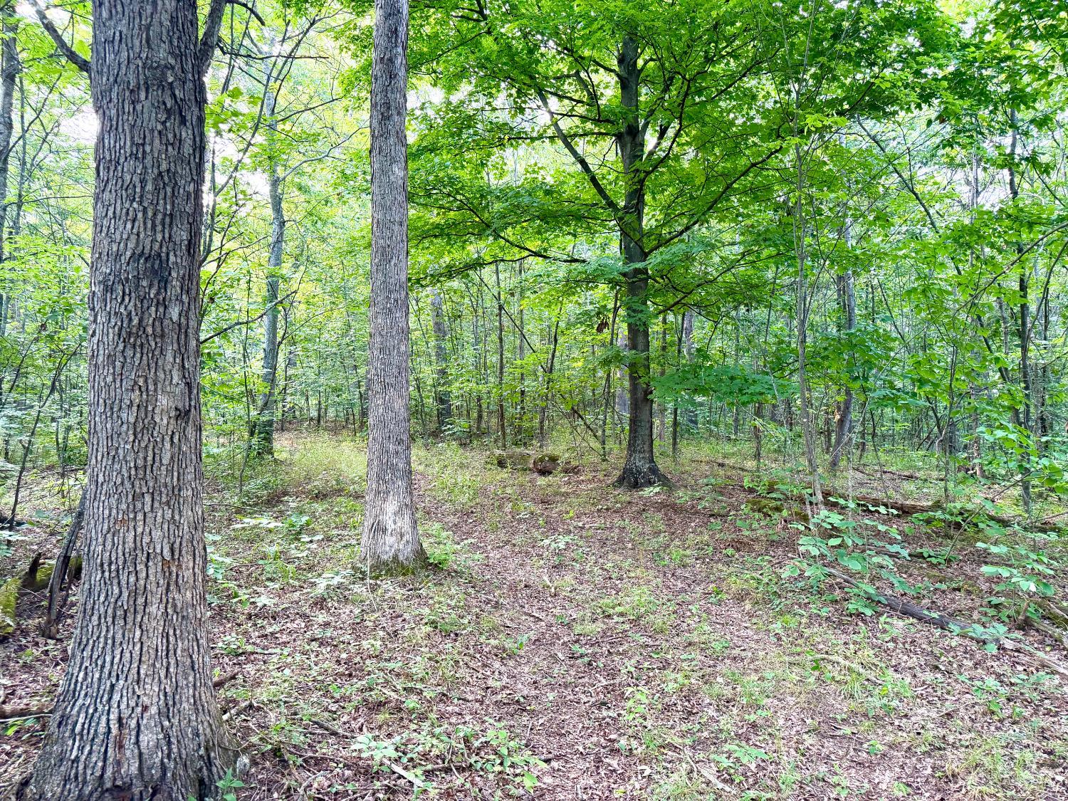 St Rt 73 Property Photo 1