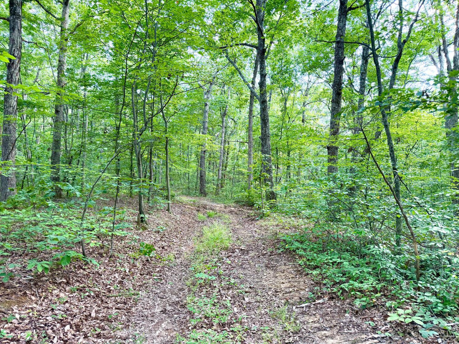 St Rt 73 Property Photo 3