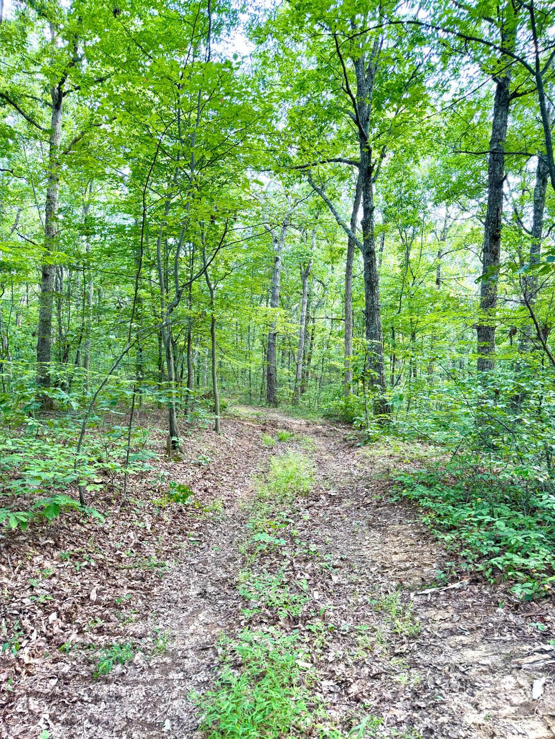 St Rt 73 Property Photo 8