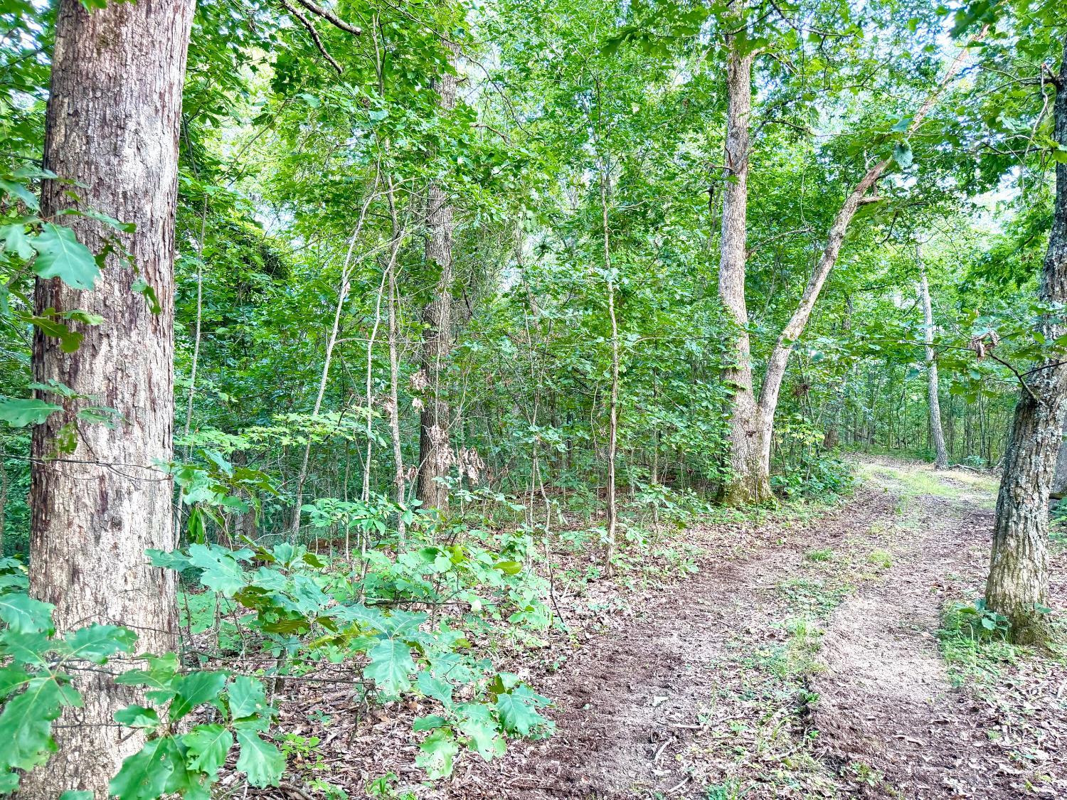 St Rt 73 Property Photo 11