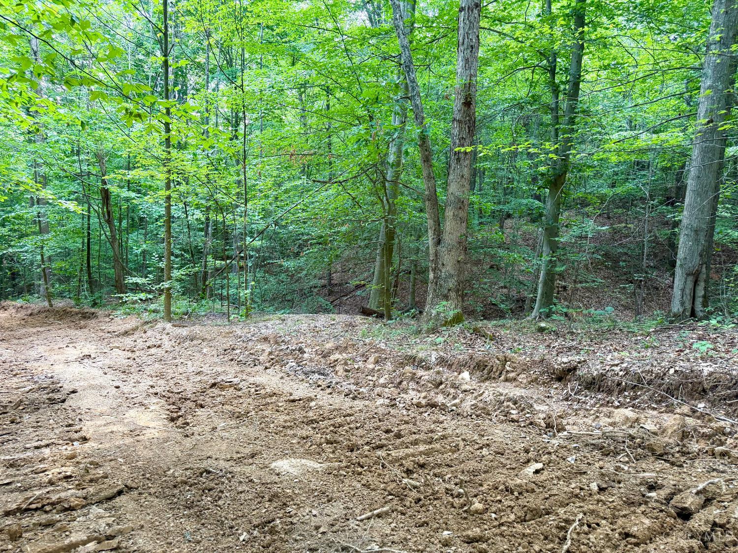 St Rt 73 Property Photo 13