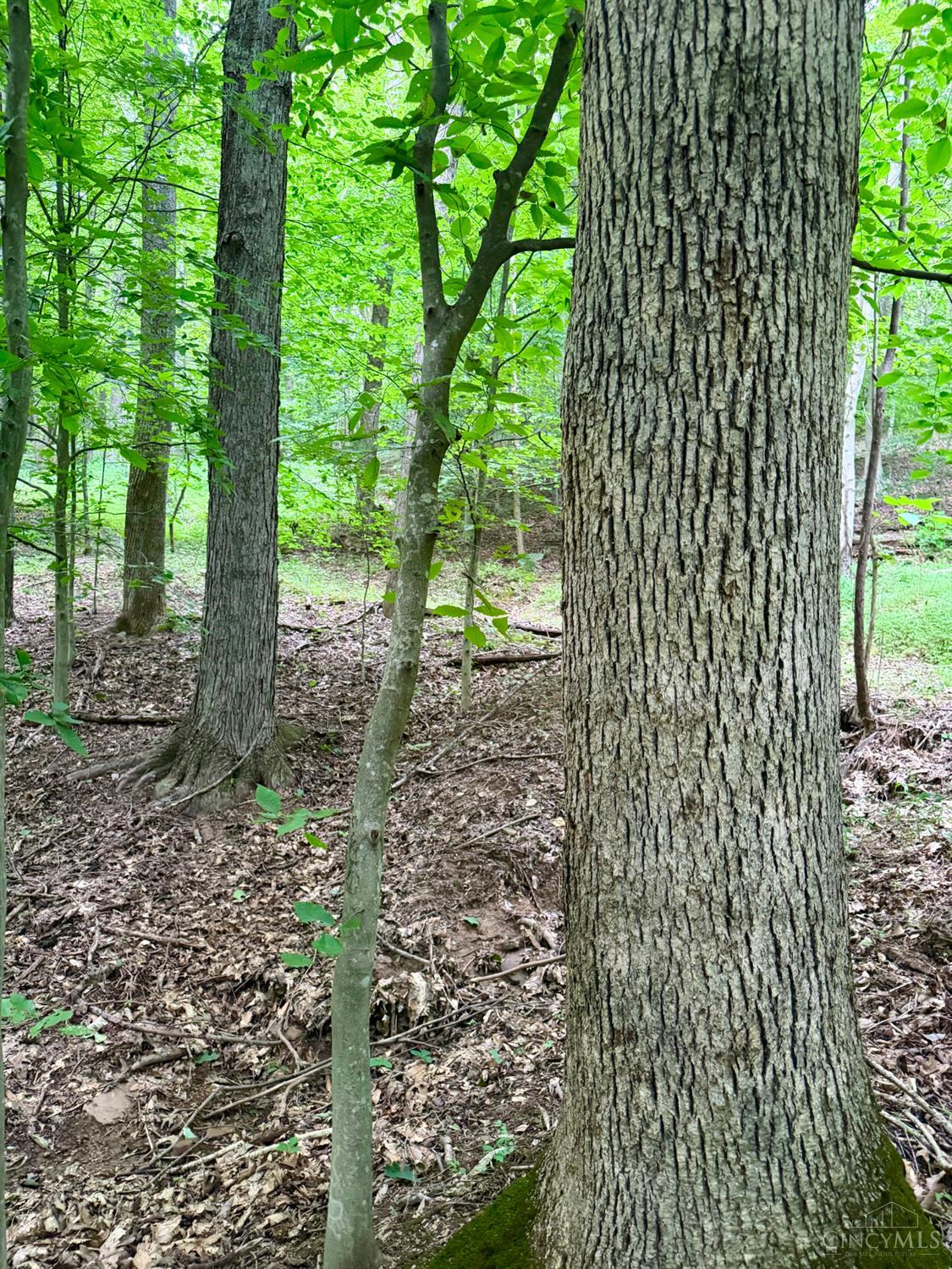 St Rt 73 Property Photo 16