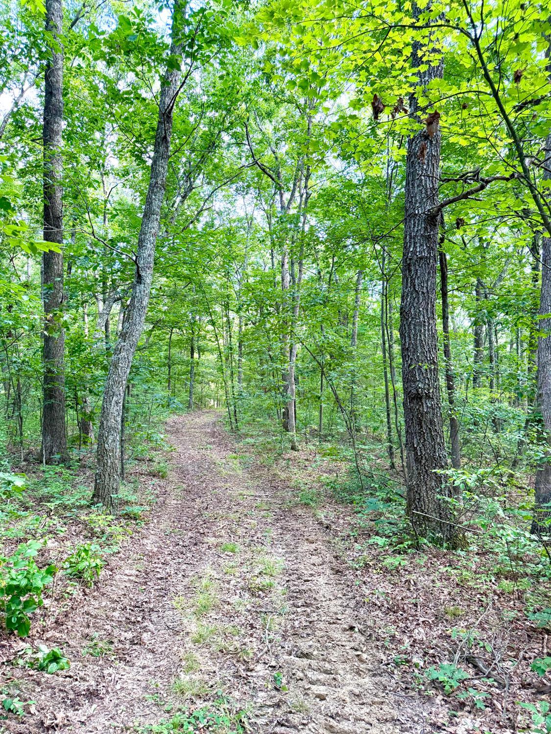 St Rt 73 Property Photo 27