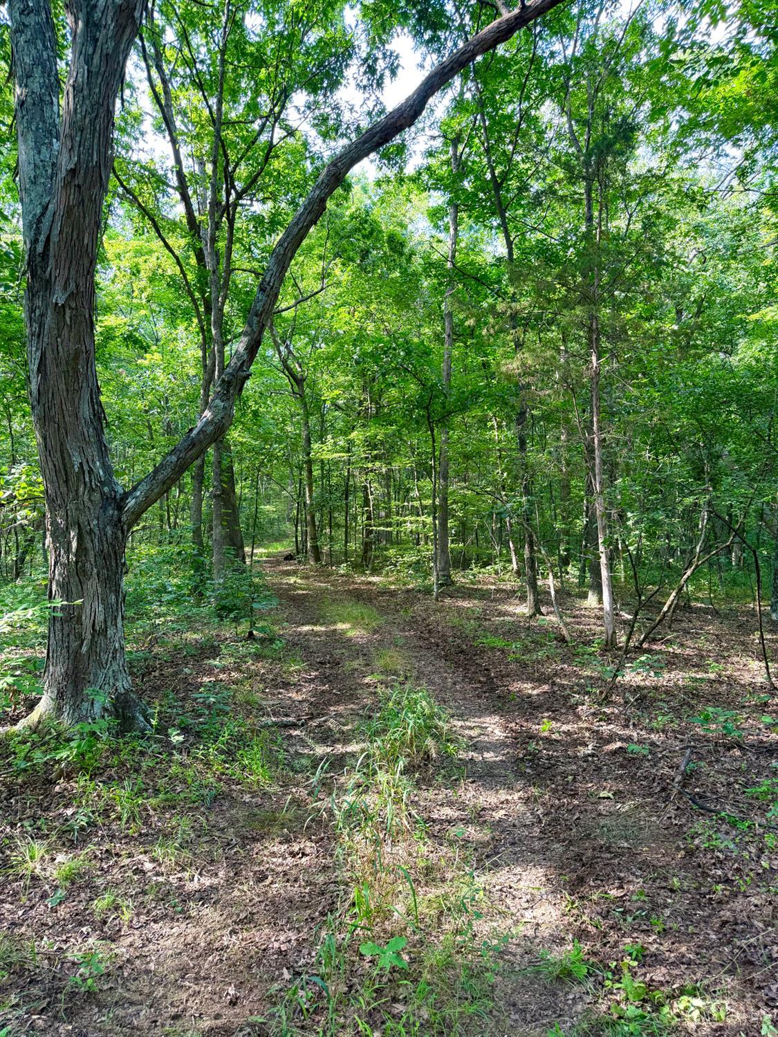 St Rt 73 Property Photo 28