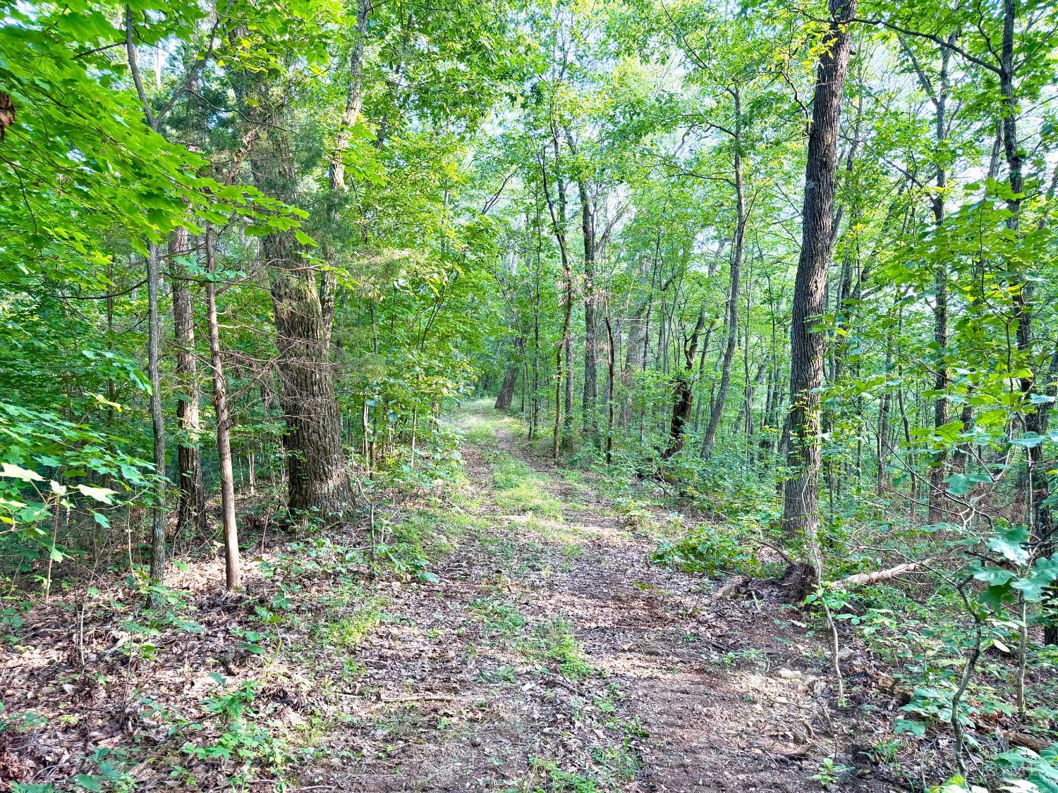 St Rt 73 Property Photo 29