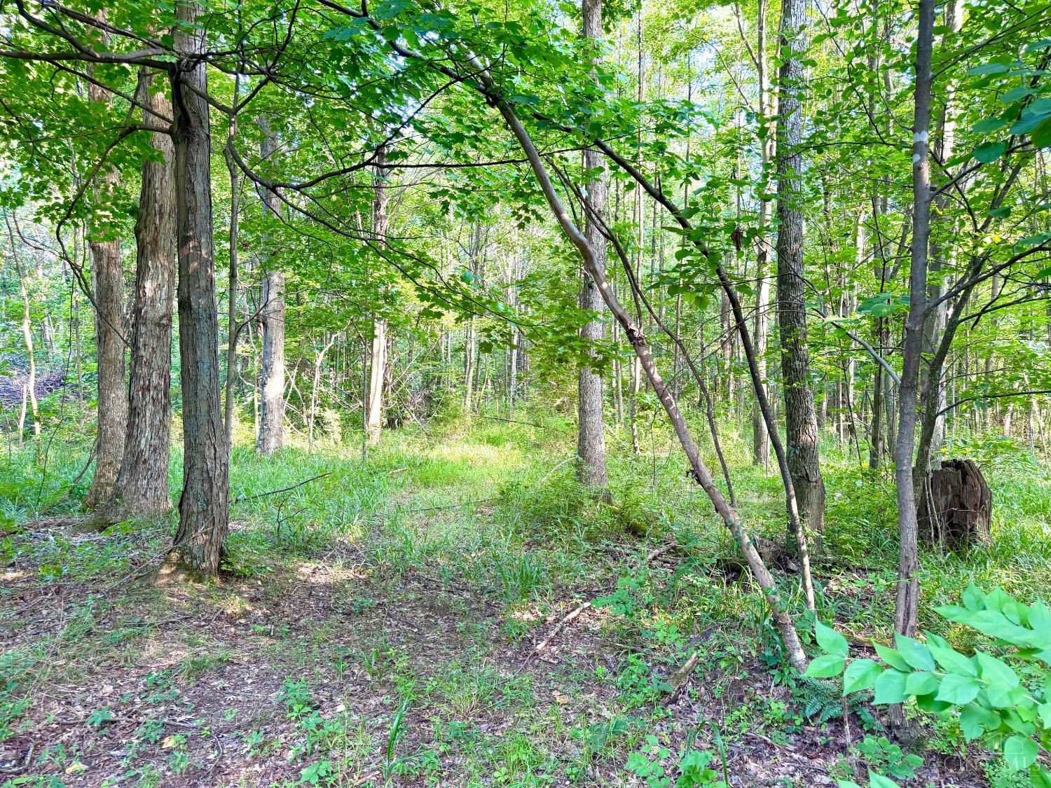 St Rt 73 Property Photo 30