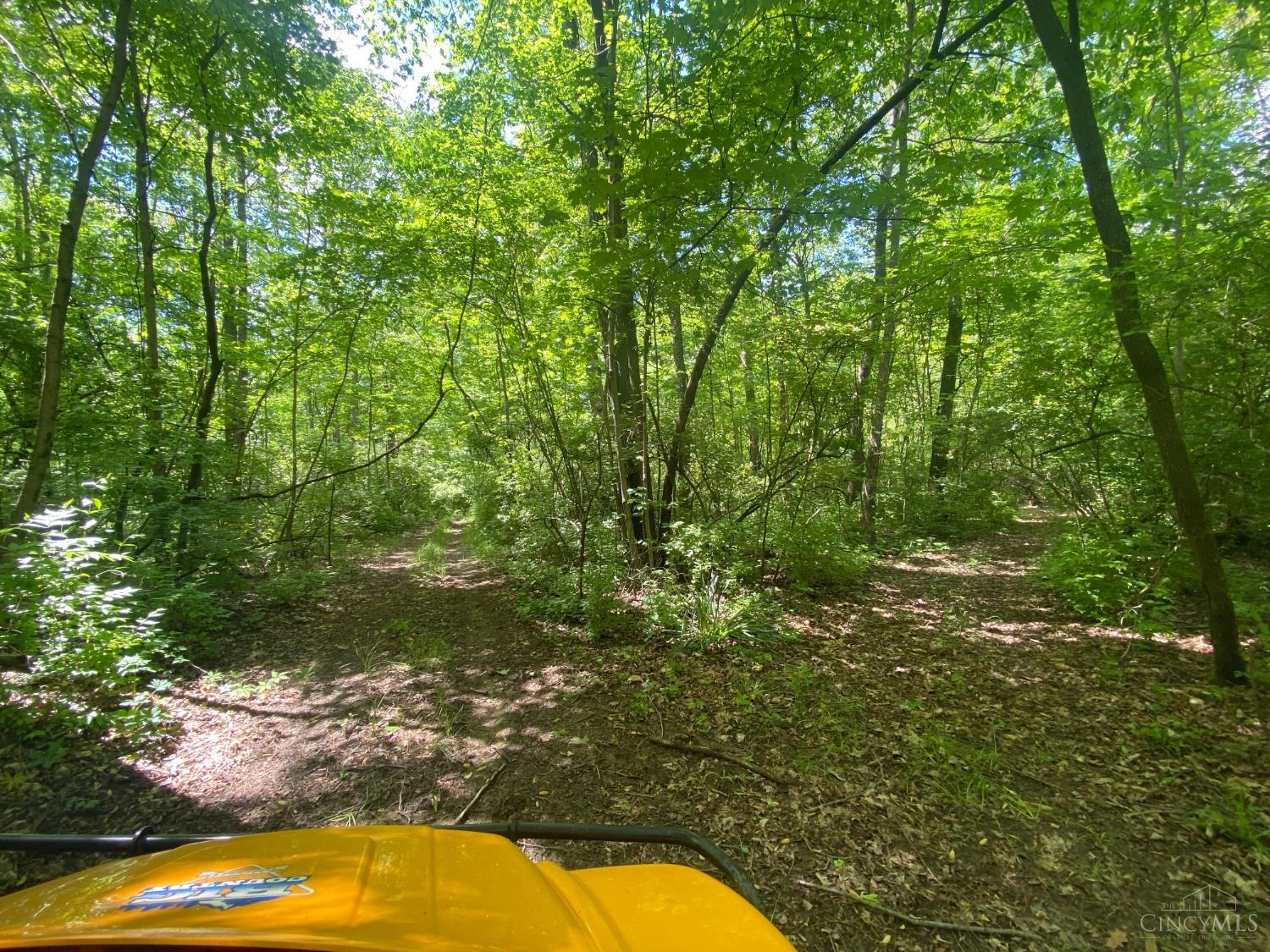 S 6217 Dixie Highway Property Photo 70