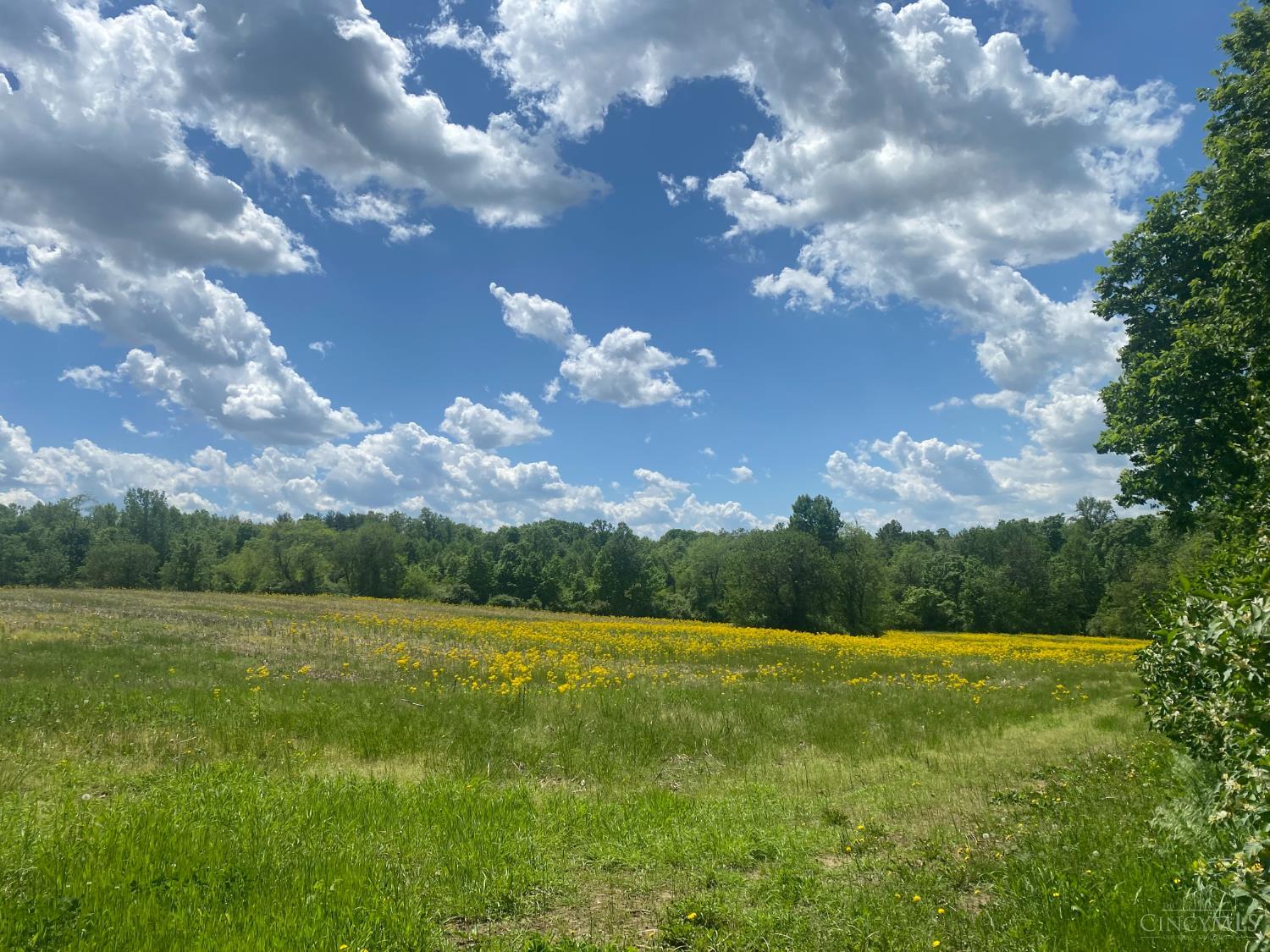 S 6217 Dixie Highway Property Photo 71