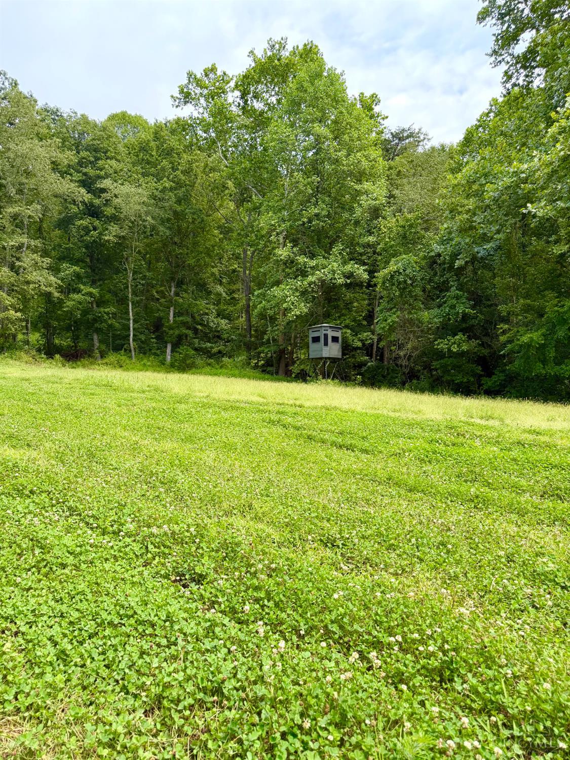 13590 St Rt 73 Property Photo 12