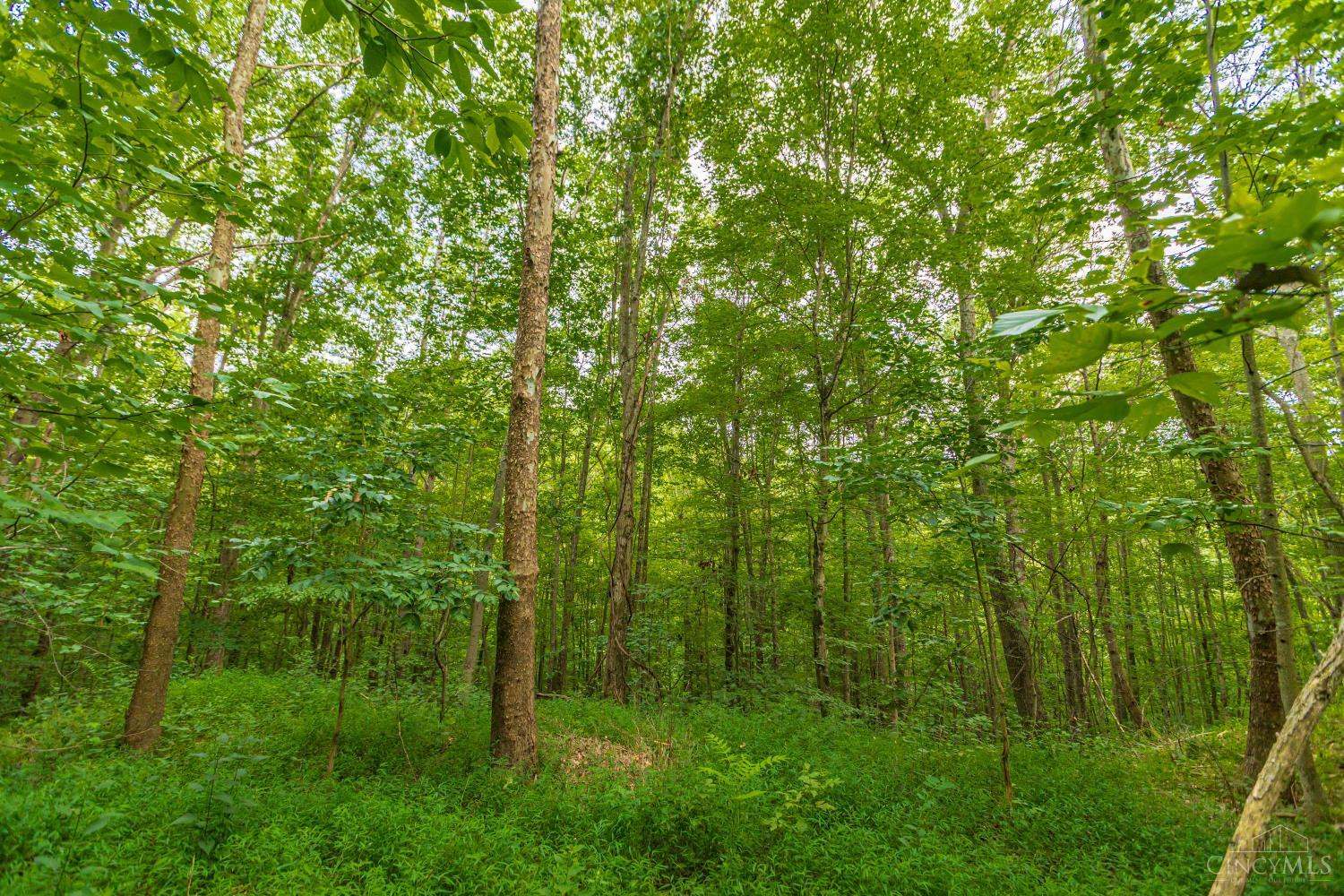 6560 Mt Unger Road Property Photo 52