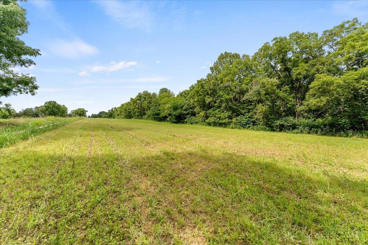 633 Swamp Road Property Photo 8
