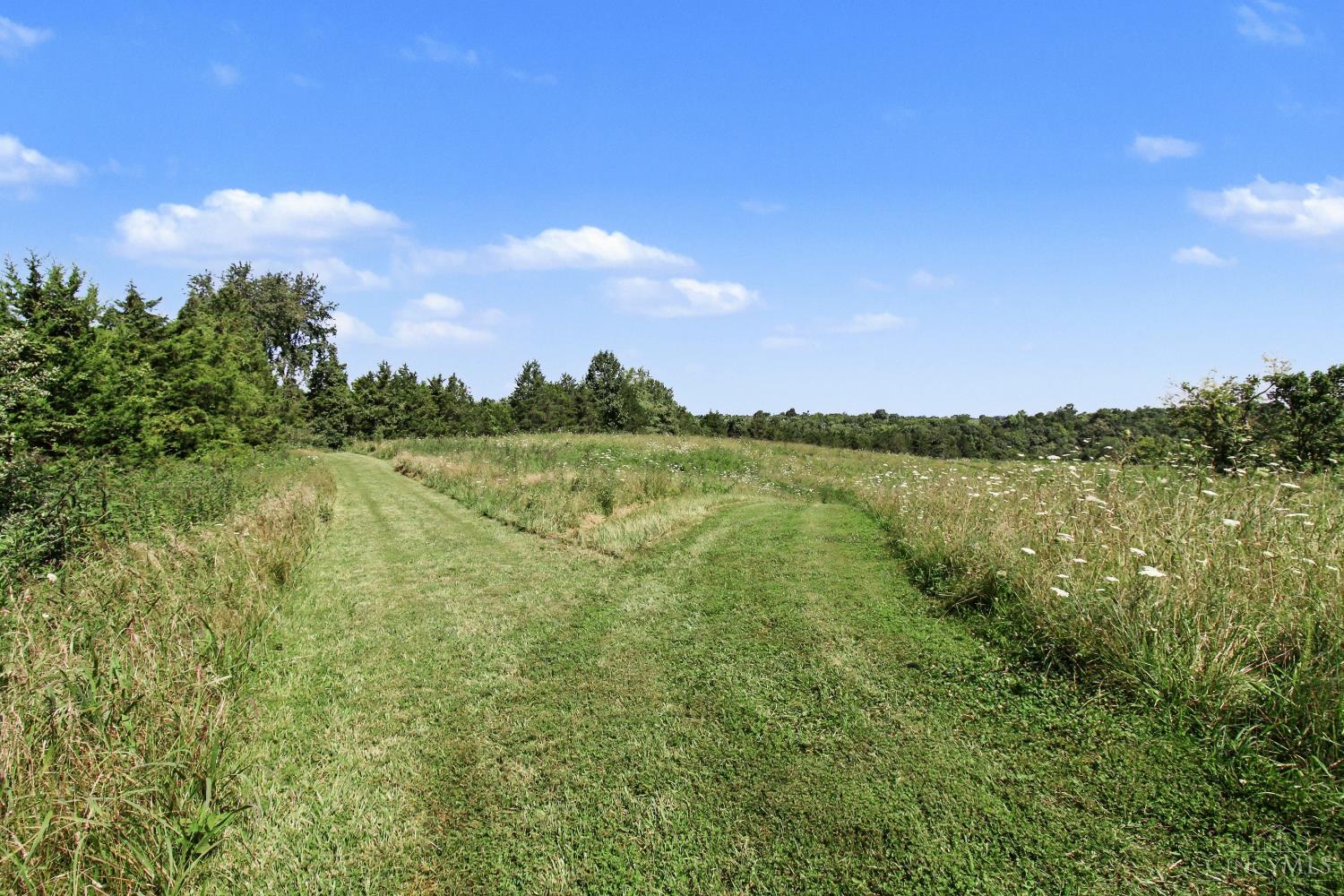 Bascom Corner Road Property Photo 13