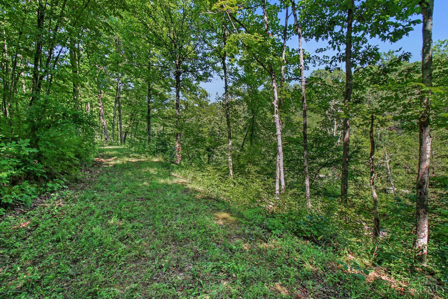 Bascom Corner Road Property Photo 17