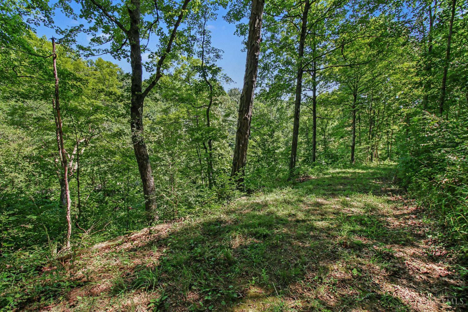 Bascom Corner Road Property Photo 18